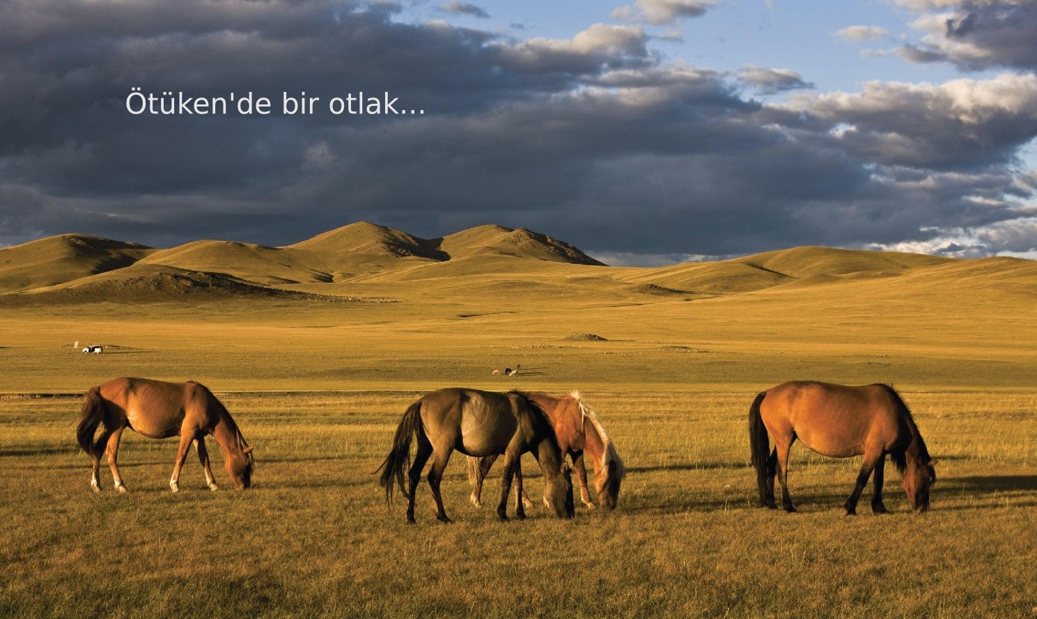 Orhun Yazıtları - Ötüken de bir otlak Orhun Yazıtları - Ötüken de bir otlak
