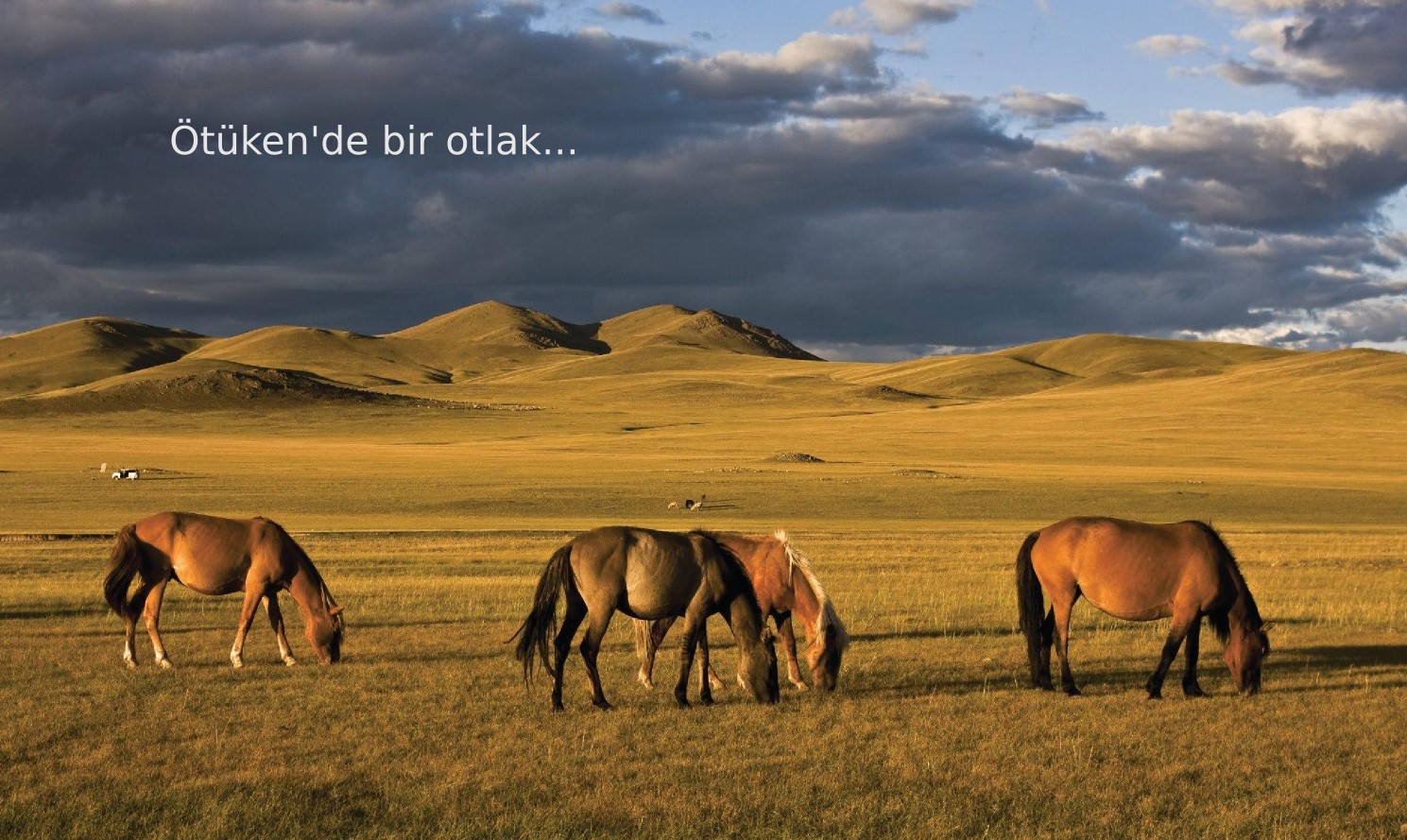 Orhun Yazıtları - Ötüken de bir otlak